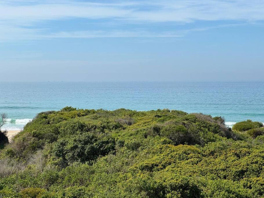 Low Tide At No 35 St Francis Bay Extérieur photo
